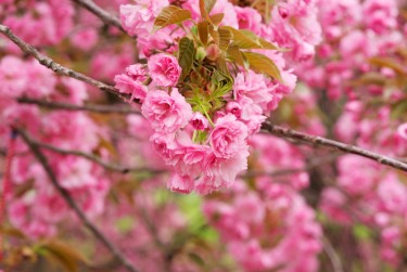 常州溧阳6线下个人借款平台一站式服务，轻松解决资金难题