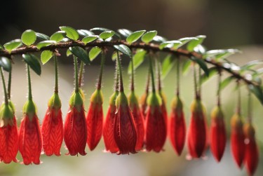 常州溧阳6零用贷短借：轻松解决临时资金需求