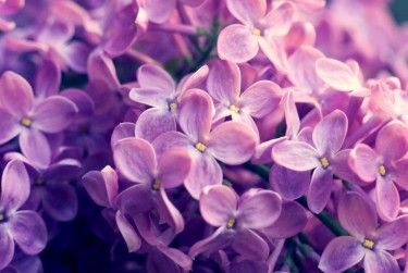 常州溧阳6企业急用钱贷款攻略：快速融资解燃眉之急